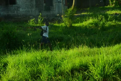 DSC_7784 (Large).JPG